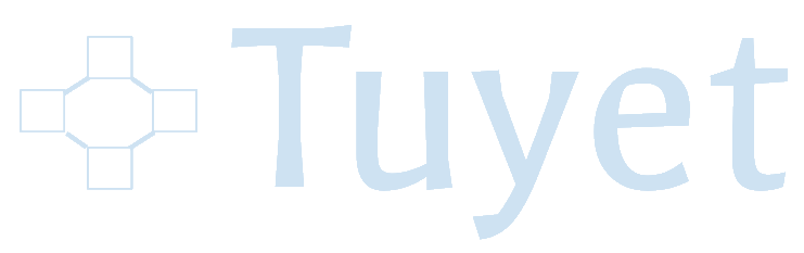 Tuyet Solutions